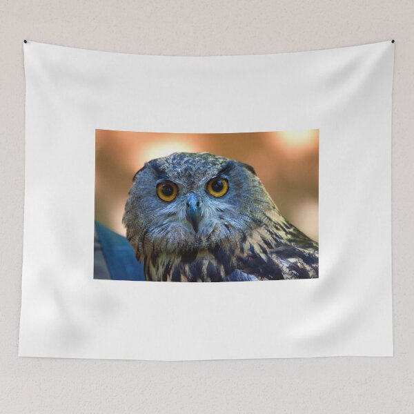 Item preview, Eurasian eagle. Bufo-Real. Bubo Bubo. Tapada de Mafra. Portugal designed and sold by Tereza Pilar  Art.