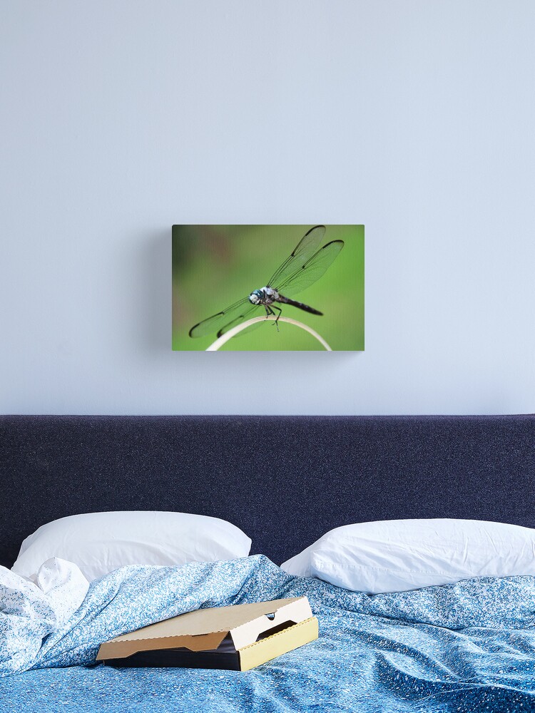 Thumbnail 2 of 3, Canvas Print, Dragonfly Smile designed and sold by idnurse41.