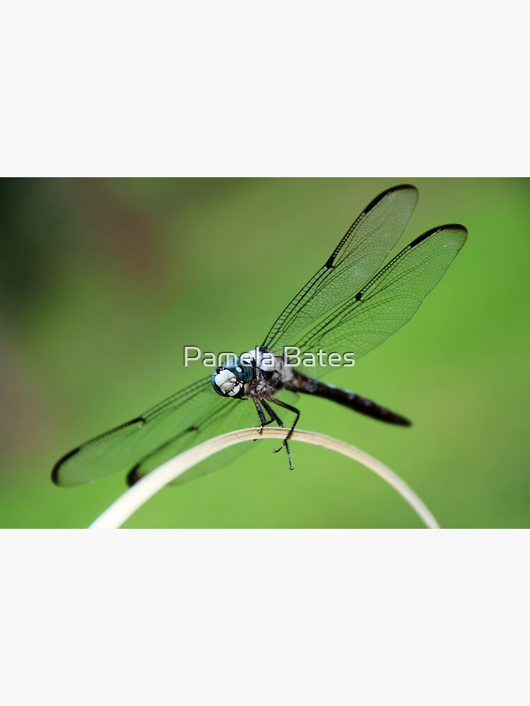 Thumbnail 3 of 3, Canvas Print, Dragonfly Smile designed and sold by idnurse41.