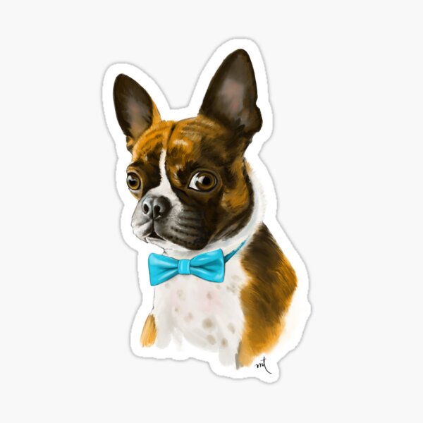 Ace the Boston Terrier Sticker