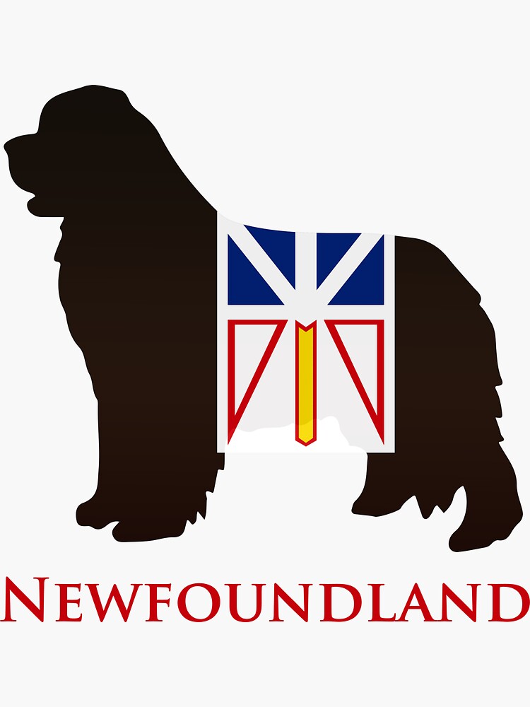 Newfoundland Dog sporting the Newfoundland flag! by itsmechris
