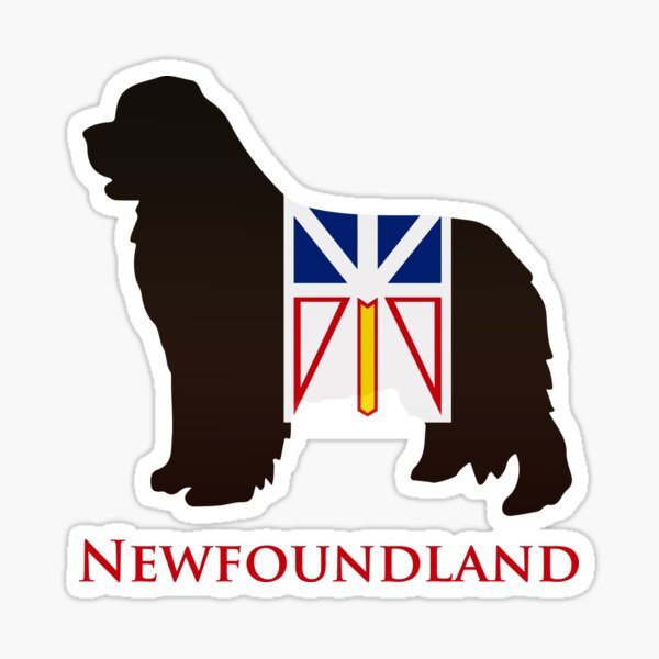 Newfoundland Dog sporting the Newfoundland flag! Sticker