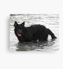 Lieben Water Baby! Canvas Print