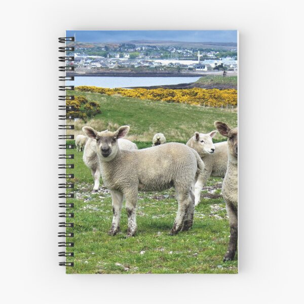 Item preview, Spring in Stornoway  designed and sold by jmnicolson.