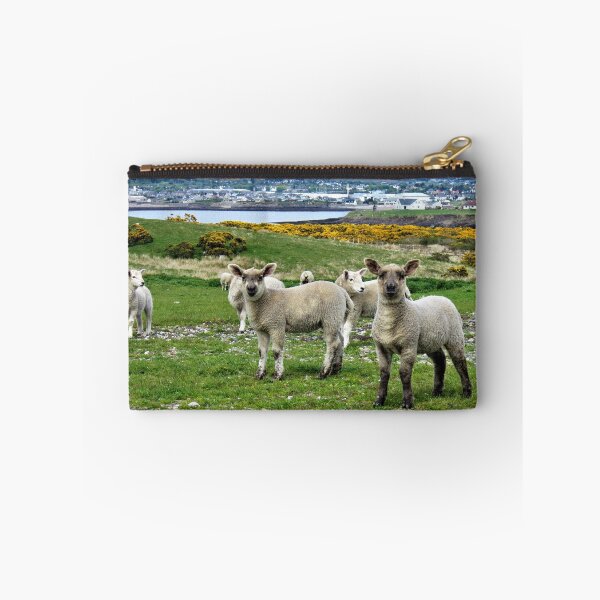 Item preview, Spring in Stornoway  designed and sold by jmnicolson.