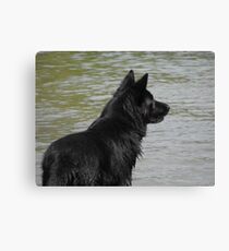 Lieben Canvas Print