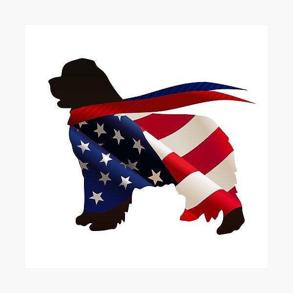 Patriotic Newfie Photographic Print