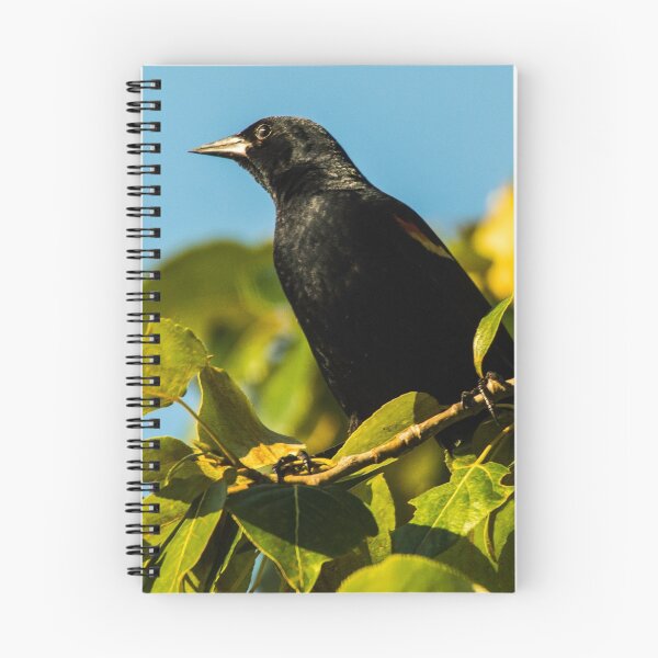 Item preview, Red Winged Black Bird designed and sold by Matthew Kochel JJ In A Jayco.