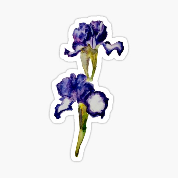 Bearded Iris 'Going My Way' Sticker