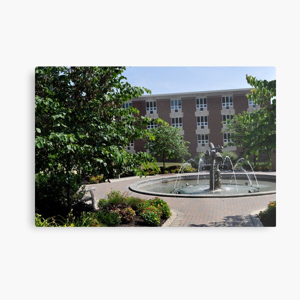 College Life Metal Print