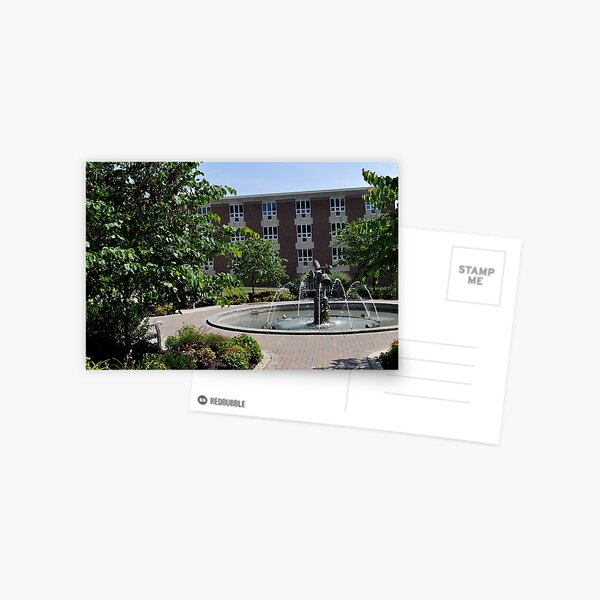 College Life Postcard