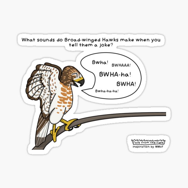 BWHA Sticker