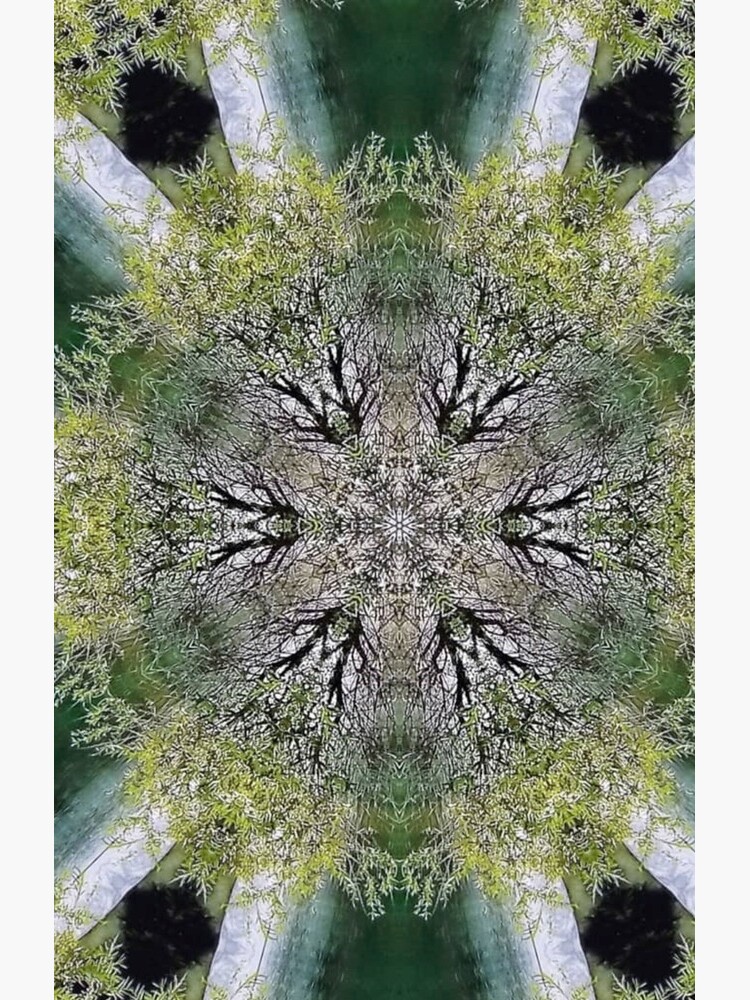 Green Kaleidoscope by pattistudio