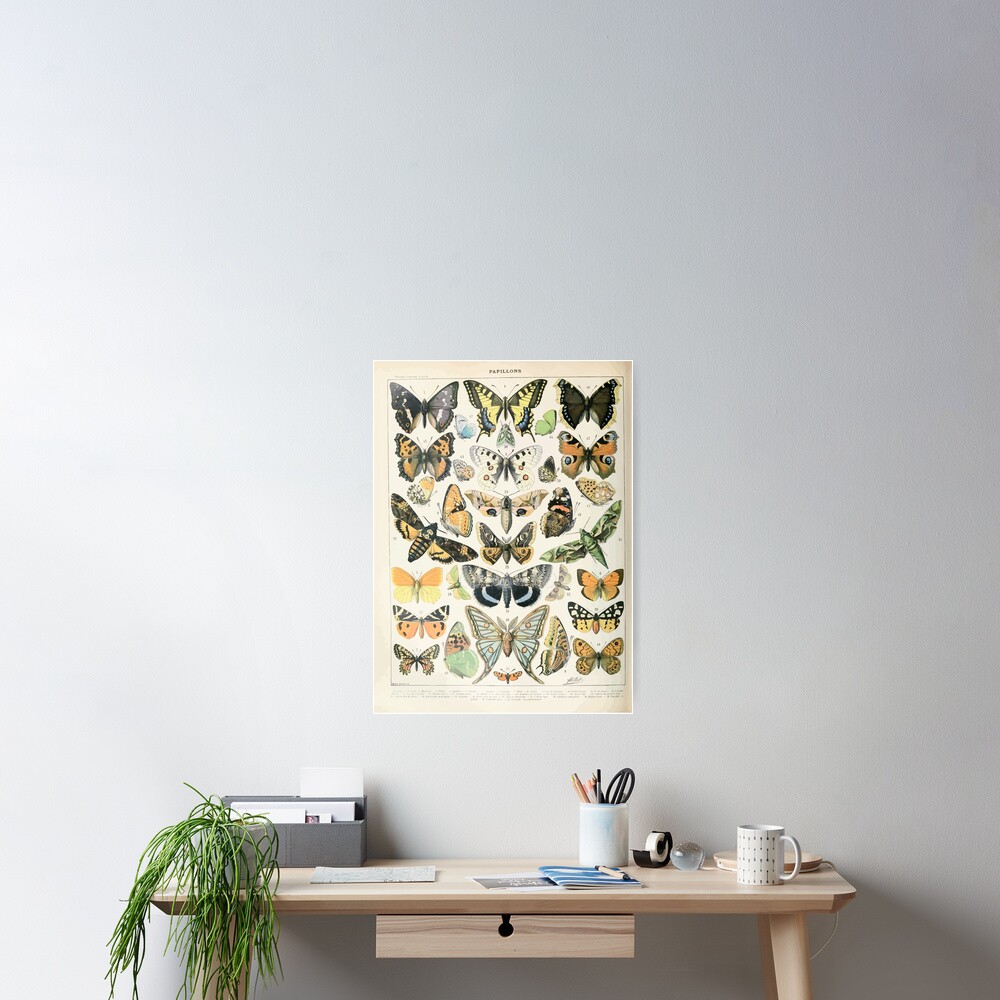 Adolphe Millot papillons A Poster