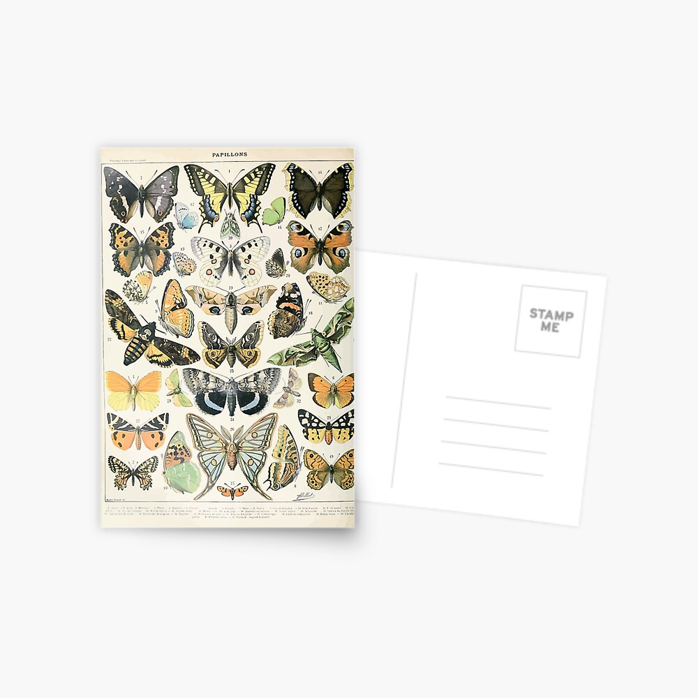Adolphe Millot papillons A Postcard