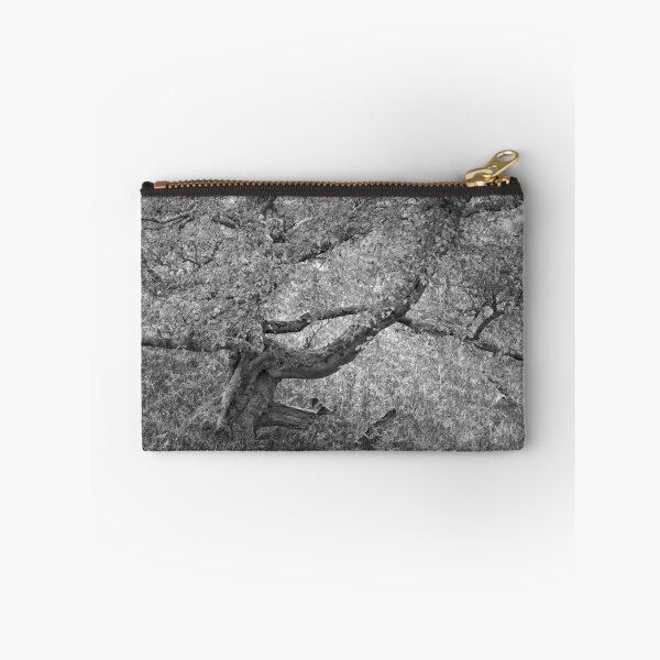 Item preview, Complexity designed and sold by ShinyPhoto.