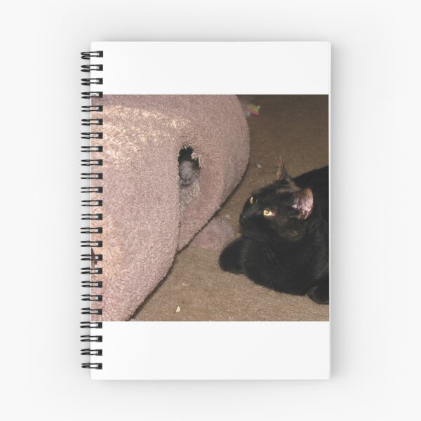 Item preview, Captivated cat designed and sold by MChabalaRussell.