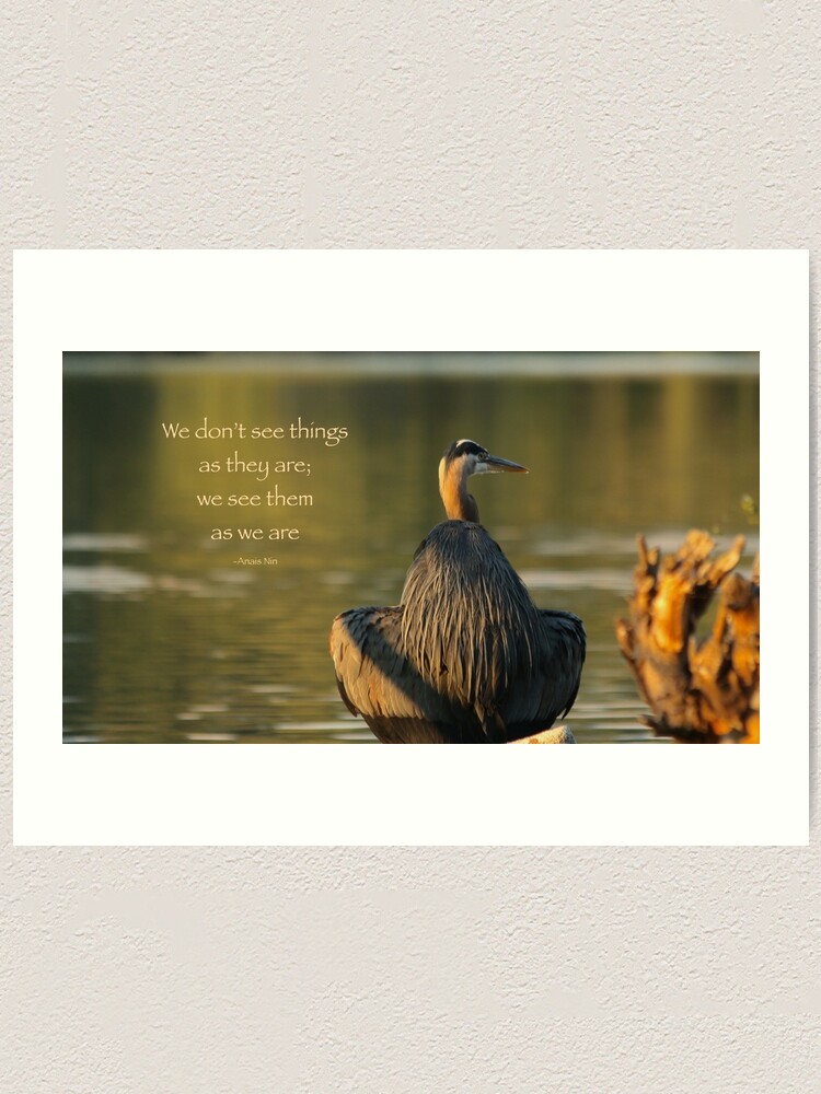 Great Blue Heron Reflecting with quote