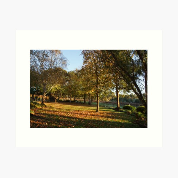Item preview, Autumn Leaves - Magpie Springs - Adelaide Hills - Fleurieu Peninsula by South Australian artist Avril Thomas designed and sold by MagpieSprings.