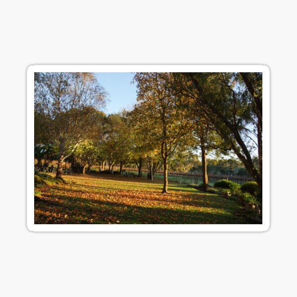 Item preview, Autumn Leaves - Magpie Springs - Adelaide Hills - Fleurieu Peninsula by South Australian artist Avril Thomas designed and sold by MagpieSprings.