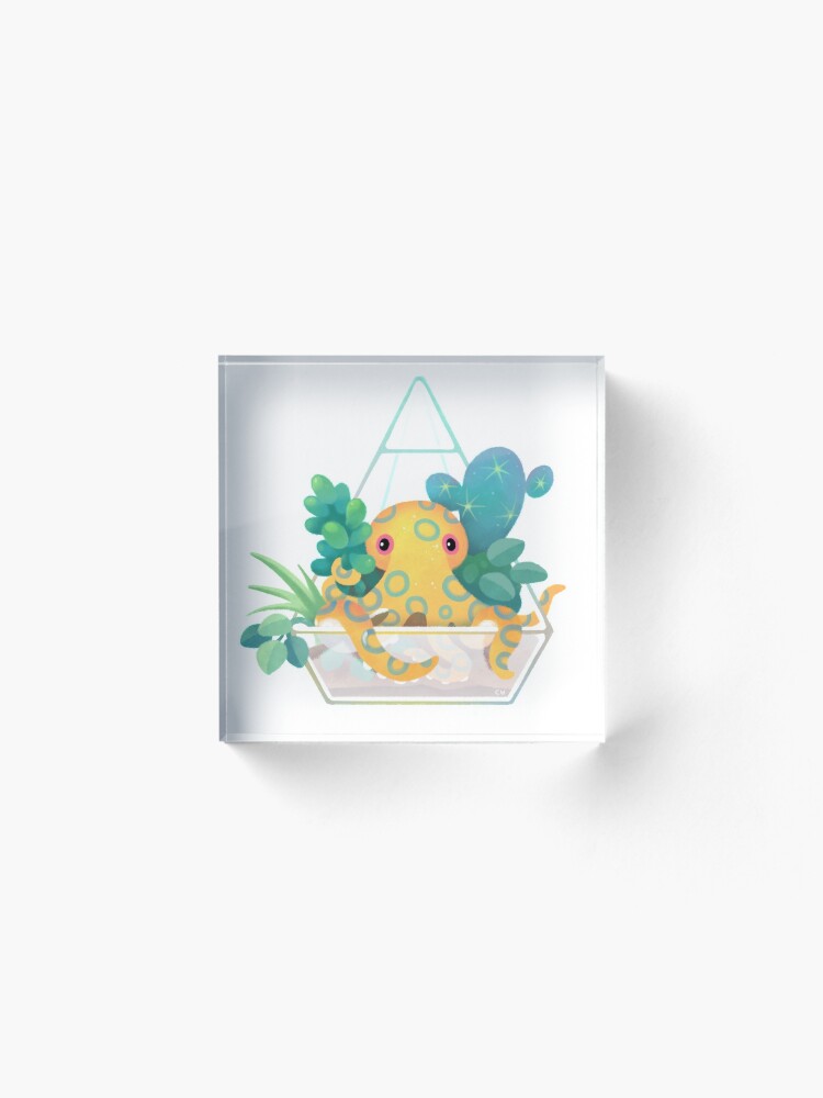 Alternate view of Ocean terrarium - Blue ringed octopus Acrylic Block