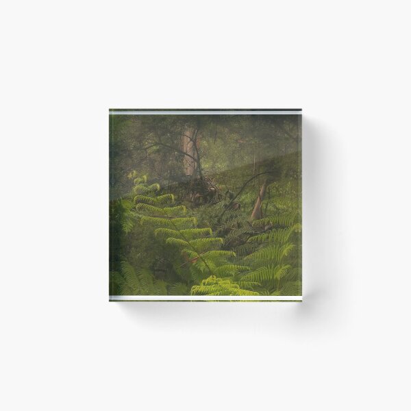 Item preview, Ferns In The Mist # 4 - Leura NSW Australia - Blue Mountains World Heritage Area designed and sold by Salieri1627.