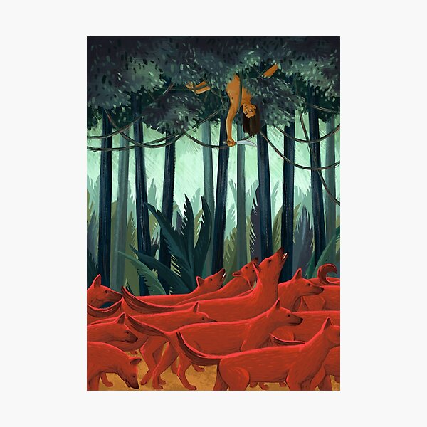 Red Dogs Photographic Print