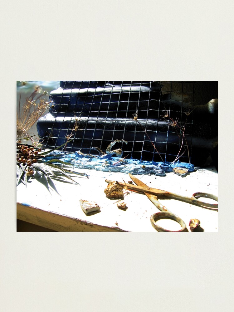 Alternate view of Swimming Composition Photographic Print