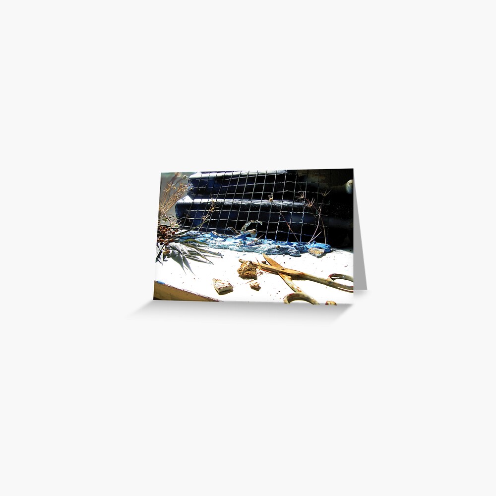 Swimming Composition Greeting Card