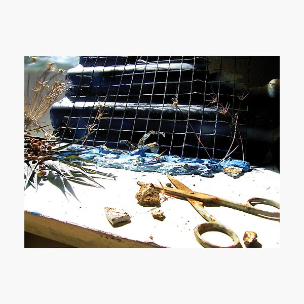 Swimming Composition Photographic Print