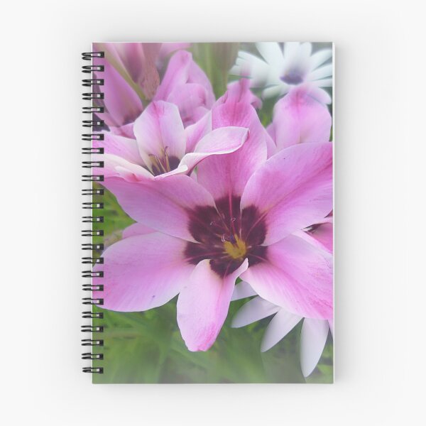 Item preview, *Beautiful Ixias near letterbox - Spring 2016* designed and sold by EdsMum.