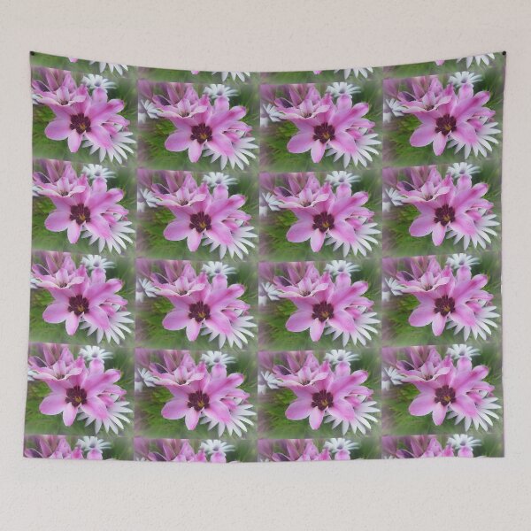Item preview, *Beautiful Ixias near letterbox - Spring 2016* designed and sold by EdsMum.