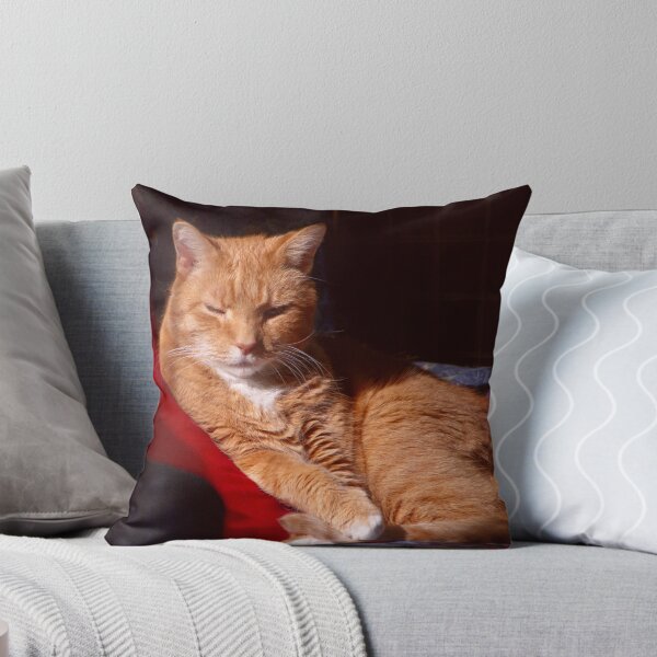 Artikelvorschau, Cat Nap entworfen und verkauft von Joy  Rector.
