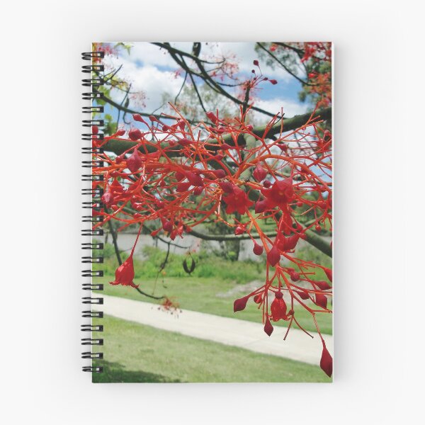 Item preview, Flame Tree Flowers designed and sold by STHogan.