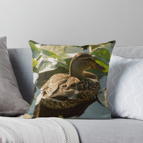 Item preview, Looking at you From the Water designed and sold by Matthew Kochel JJ In A Jayco.