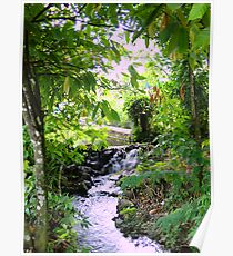 Lush Boquete Poster