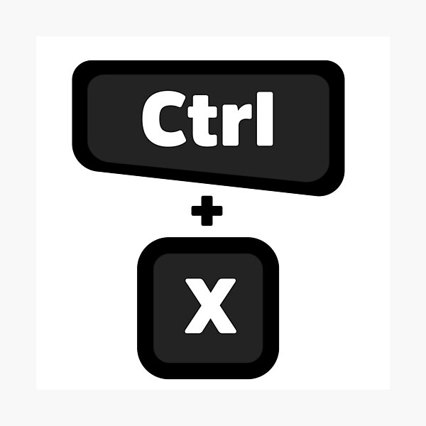 "Ctrl + X Computer Programming Light Color" Photographic Print for