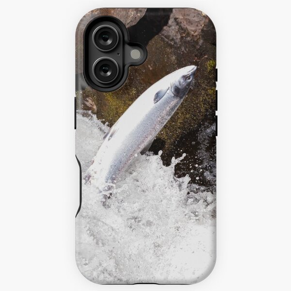 Artikel-Vorschau von springender atlantischer Fisch des silbernen Lachses, designt und verkauft von chanonry.