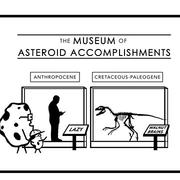 Artwork thumbnail, The Museum of Asteroid Accomplishments by Adrianna Allen