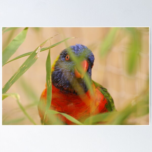 Item preview, I-SPY designed and sold by Alan Findlater.