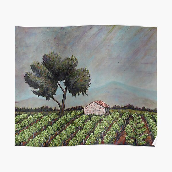 Chateauneuf Vineyard Poster