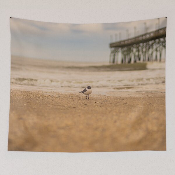 Item preview,  Beach and seashells a and Laughing gull designed and sold by KensLensDesigns.