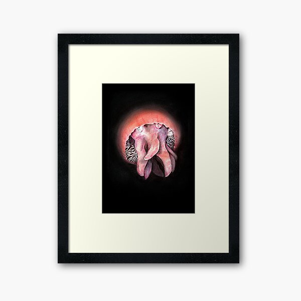 Big Red Framed Art Print