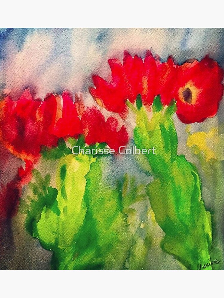 Cactus Flowers by charissecolbert