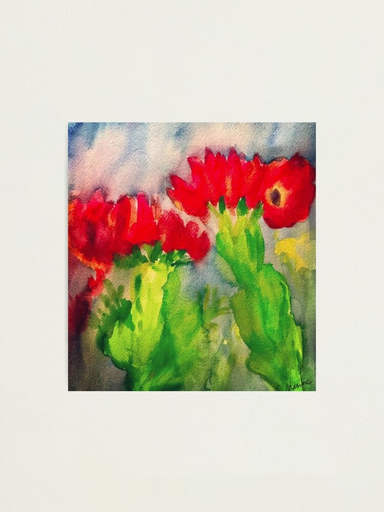 Alternate view of Cactus Flowers Photographic Print