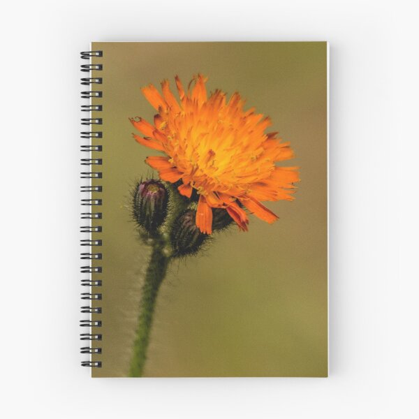 Item preview, Flower of Fire designed and sold by Matthew Kochel JJ In A Jayco.