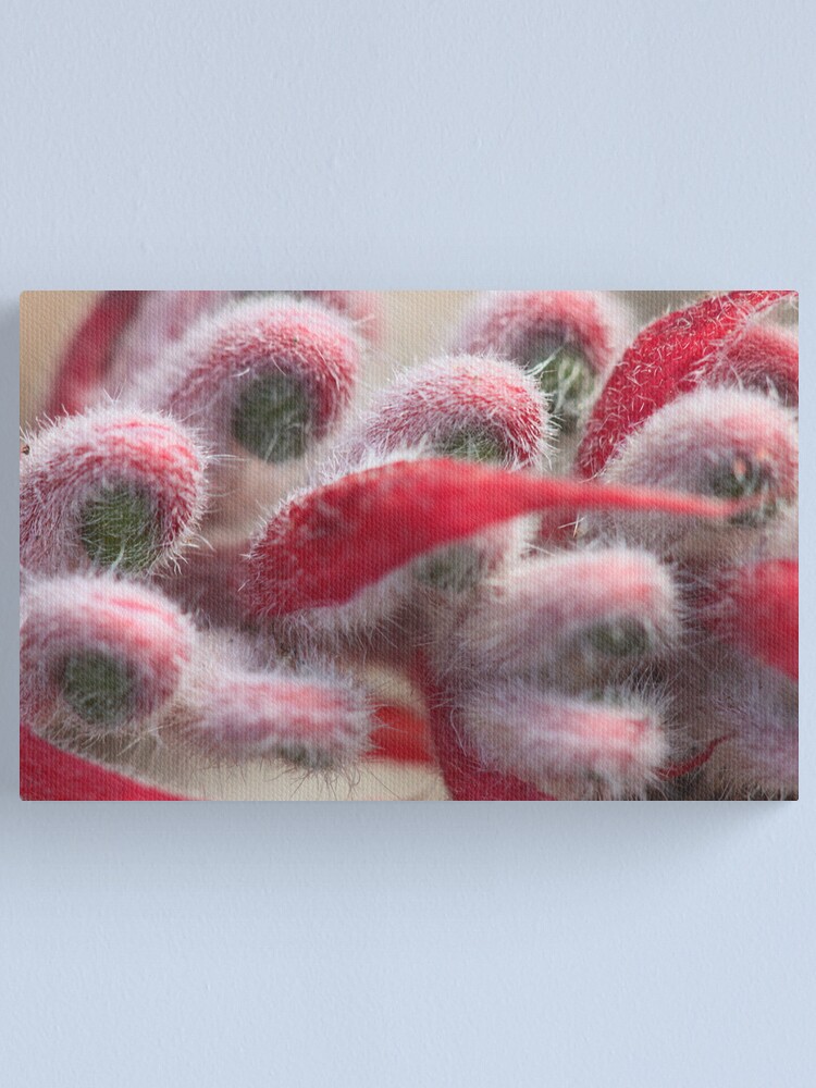 Alternate view of Close encounters Canvas Print