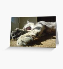 Yawn.......... Greeting Card