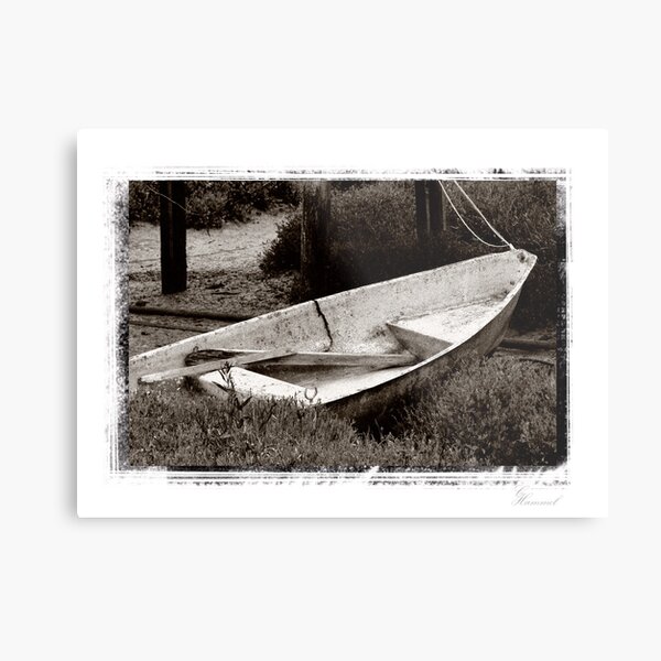 The boat Metal Print