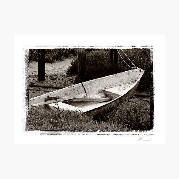 The boat Photographic Print